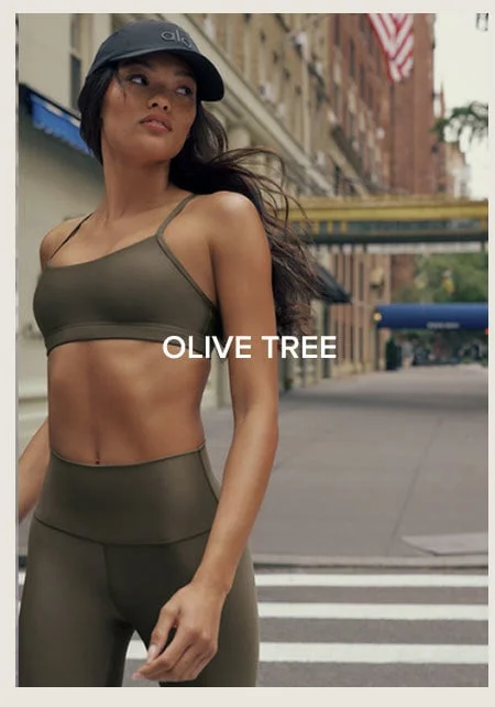 OLIVE TREE