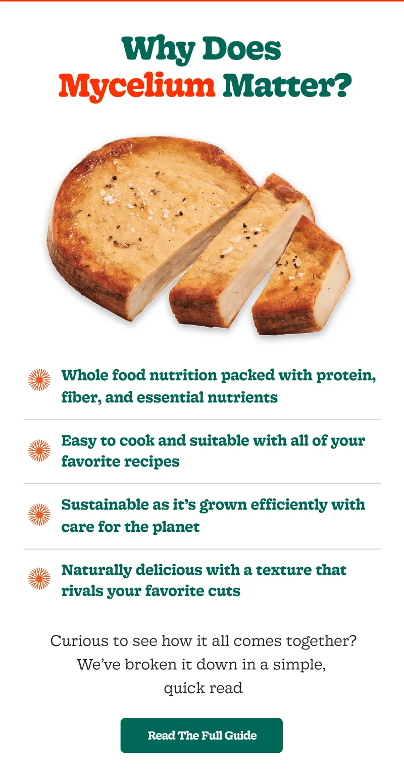 Why does Mycelium Matter? [Read The Full Guide]