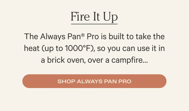 Shop Titanium Always Pan Pro