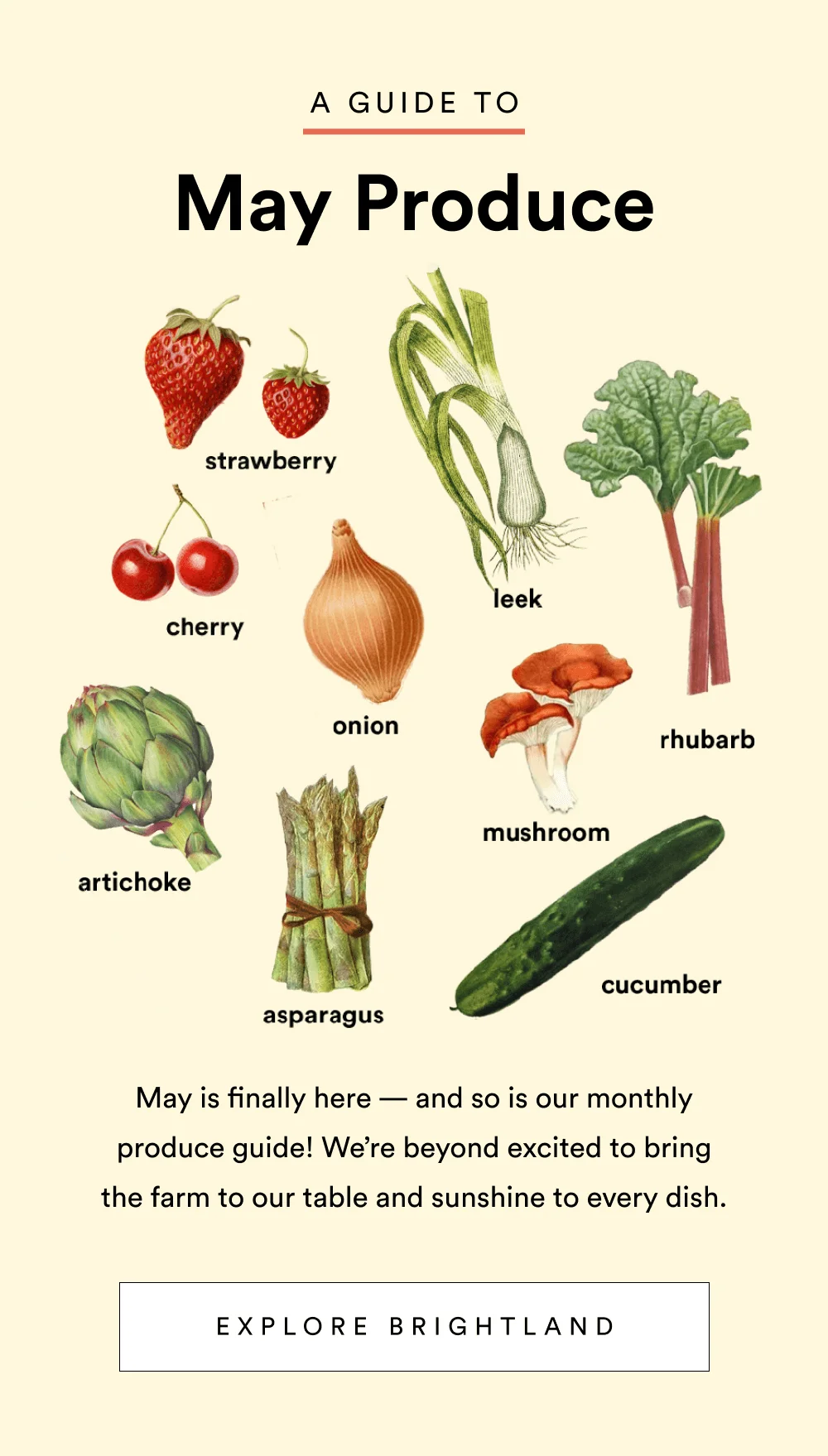 [ EXPLORE BRIGHTLAND ]