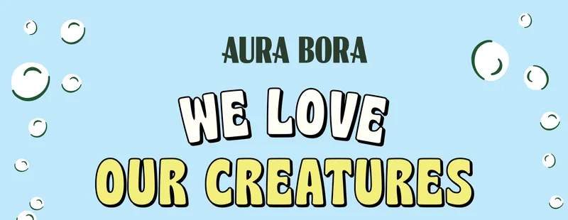 aura bora sparkling water