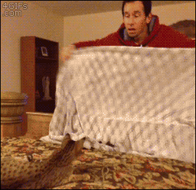 Gif of someone vanishing behind a bed sheet.