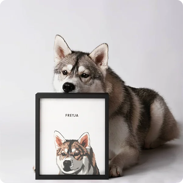 Modern pet portrait - One pet