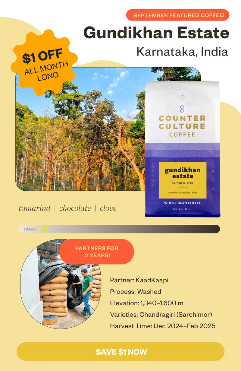 September Featured Coffee Gundikhan Estate Karnata, India $1 all month long tamarind chocolate clove Partners 2 yearsPartnership Name: KaadKaapi Length Of Partnership: 2023   Harvest Description Process: Washed Elevation: 1,340–1,600 meters Varieties: Chandragiri (Sarchimor) Harvest Time: December 2024–February 2025 Save $1 now