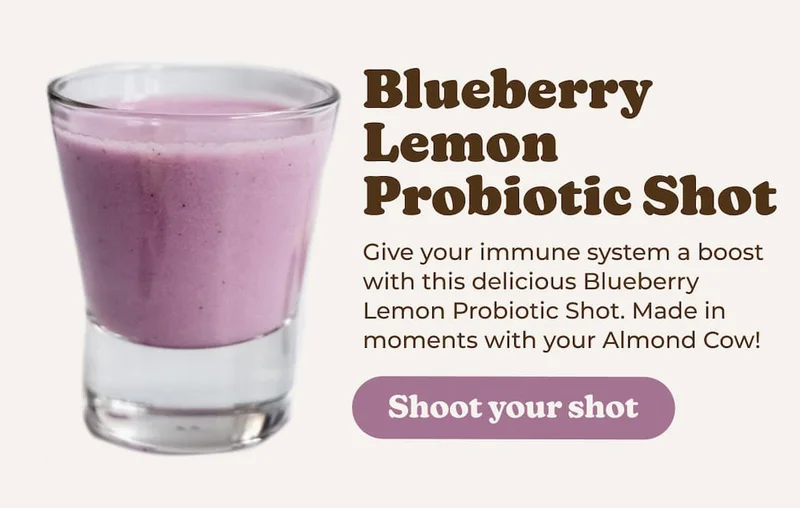 Blueberry Lemon Probiotic Shot