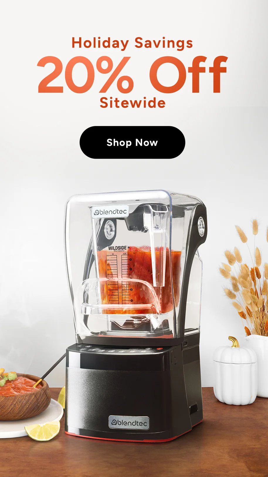 Blendtec - Holiday Savings