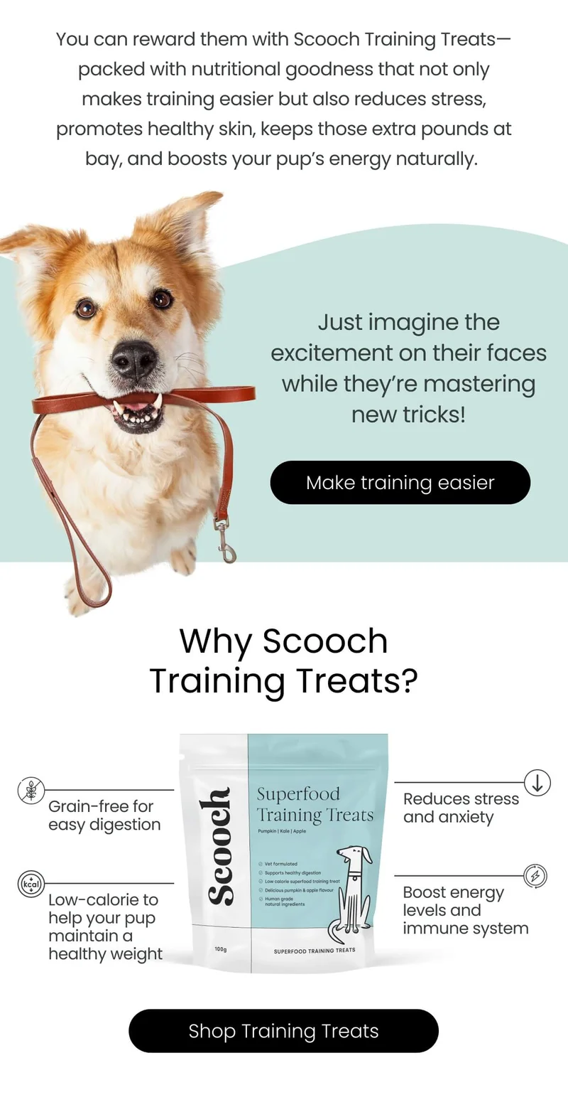 You can reward them with Scooch Training Treats - Make training easier
