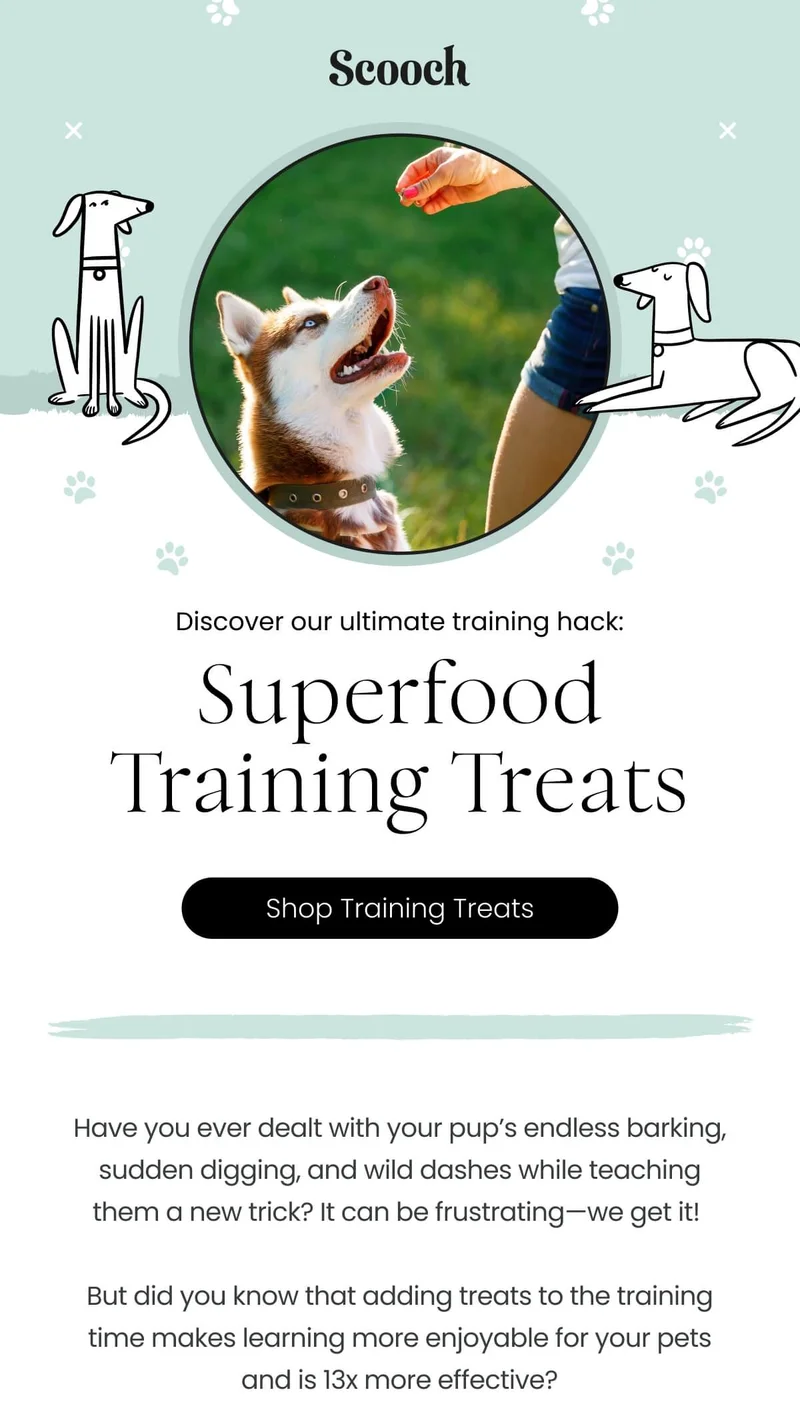Discover our ultimate training hack - Shop Training Treats