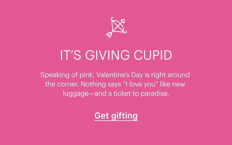 Speaking of pink, Valentine’s Day is right around the corner. Nothing says “I love you” like new luggage. Get Gifting
