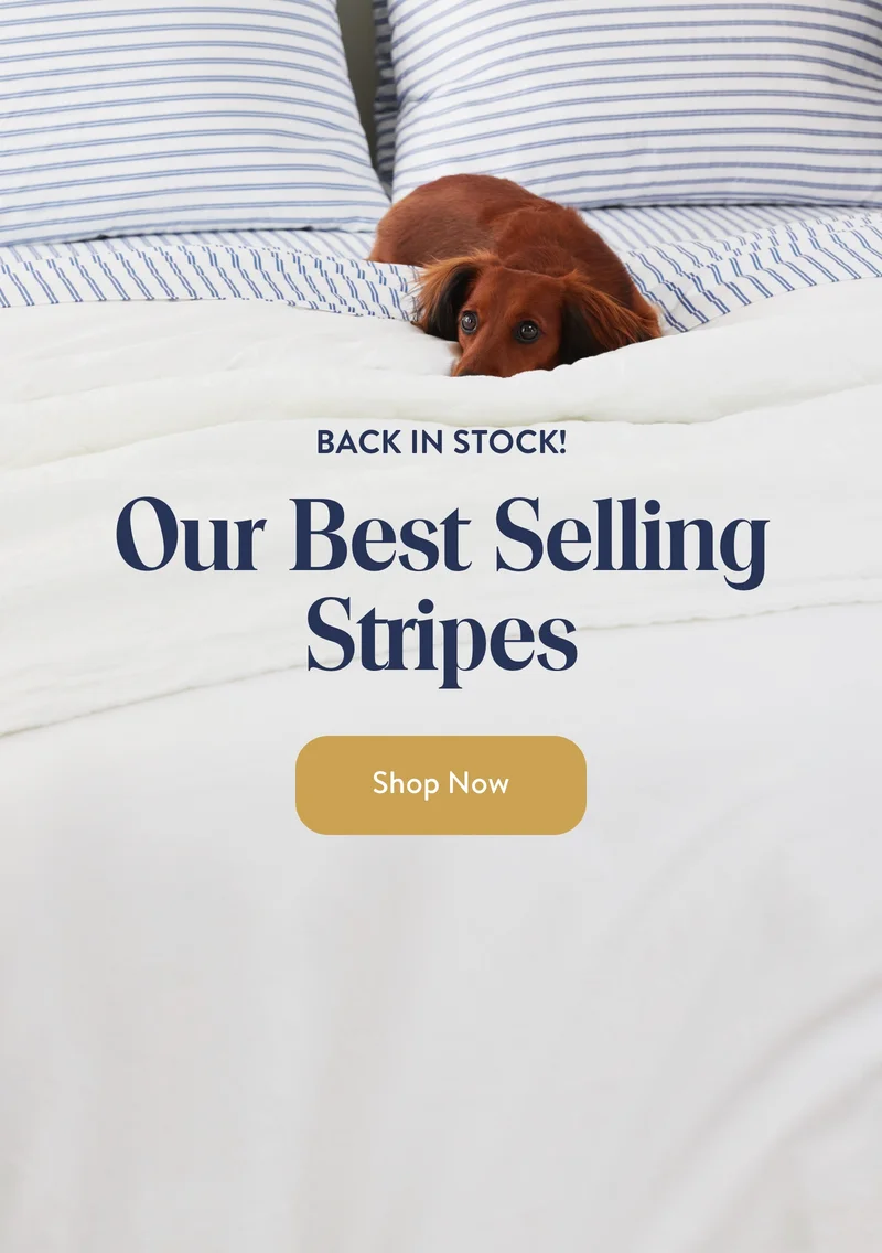 Shop Plush