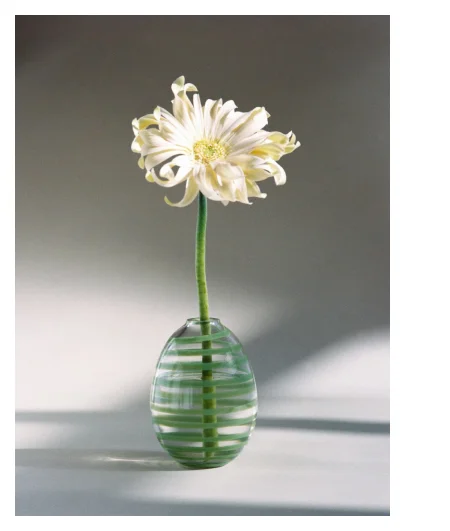 Focus Image 3