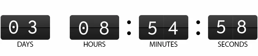 DAYS : HOURS : MINUTES : SECONDS
