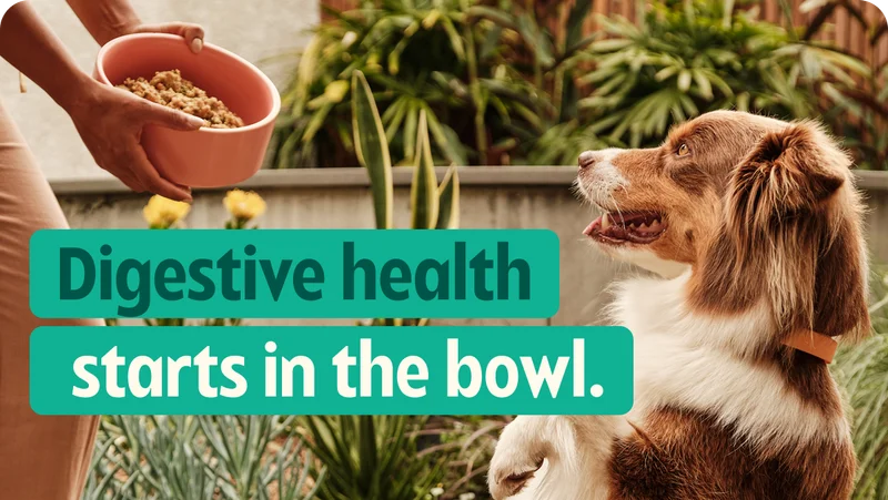 Digestive health starts in the bowl.