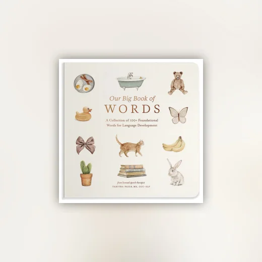 Our Big Book of First Words