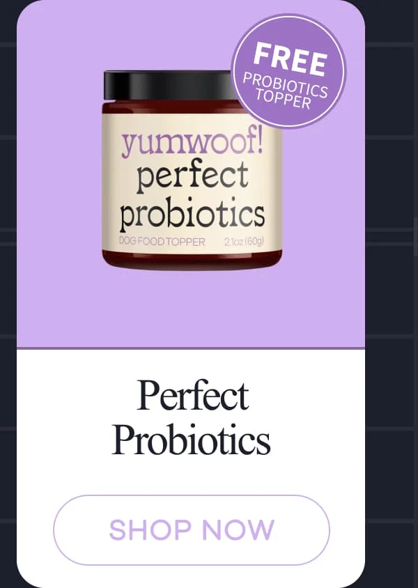 Perfect Probiotics | shop now