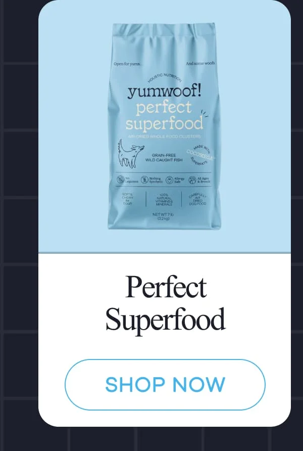 Perfect Superfood | shop now