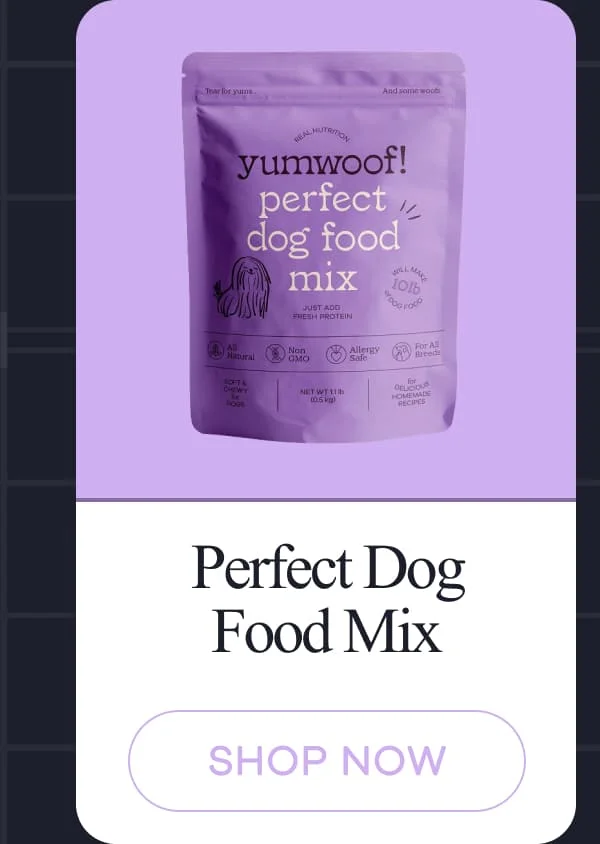 Perfect Dog Food Mix | shop now