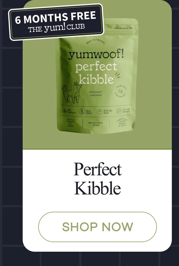 Perfect Kibble | shop now