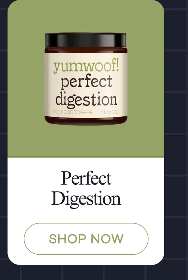 Perfect Digestion | shop now