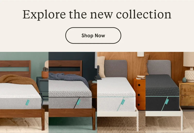 Explore the new collection | Shop Now