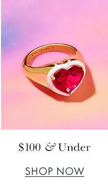$100 & Under
