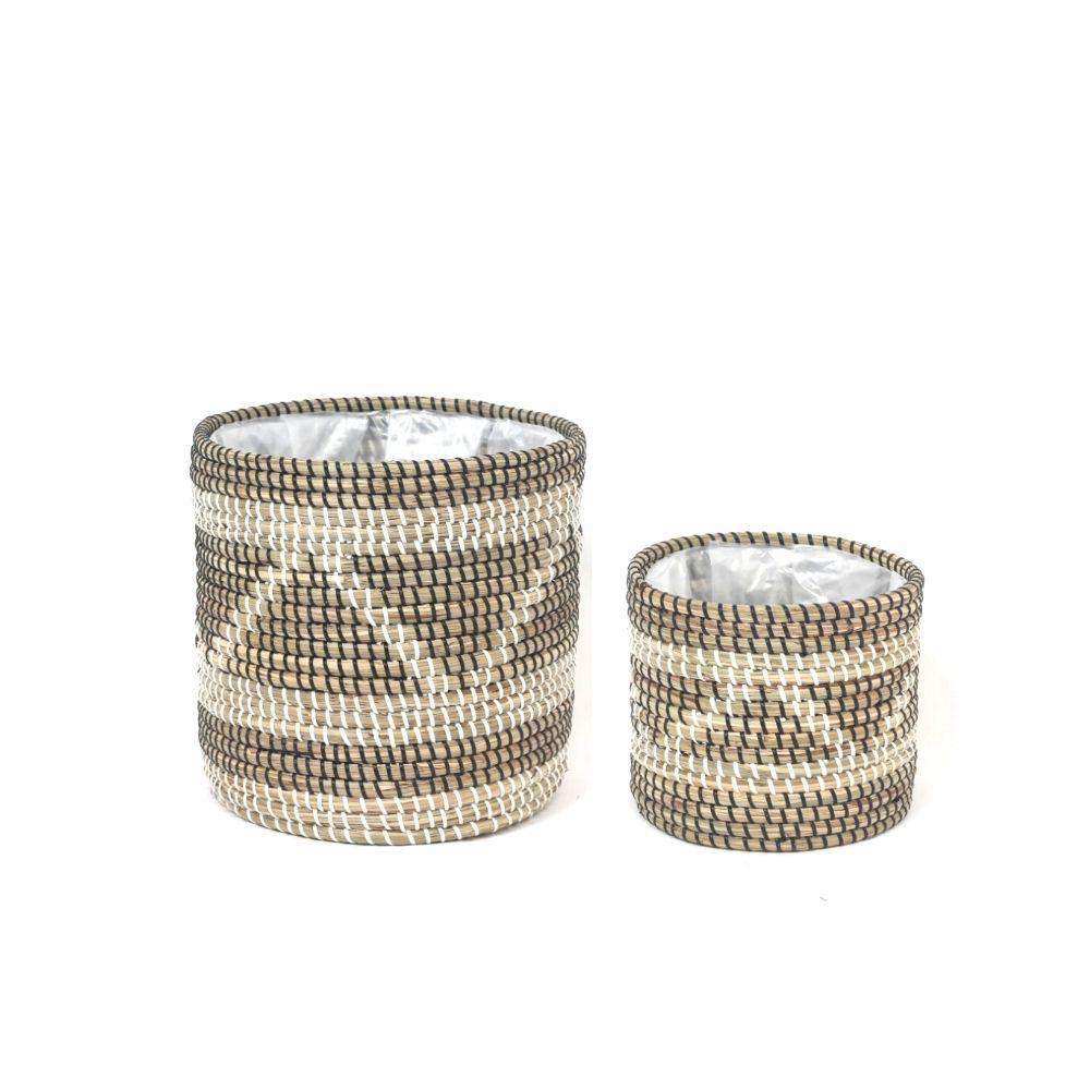 Image of Cobra - Seagrass Planter