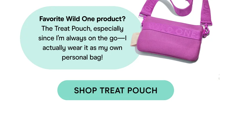 Treat Pouch