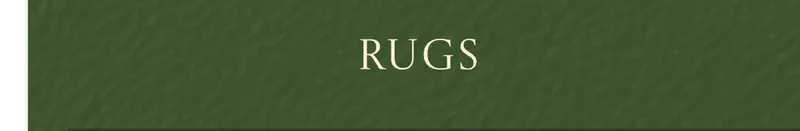 Shop Rugs