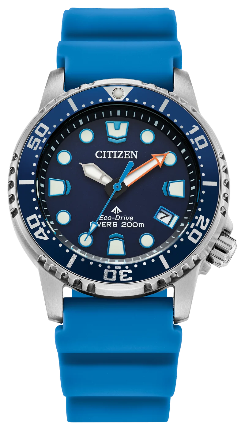 Image of Promaster Dive