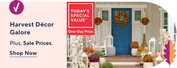 harvest decor