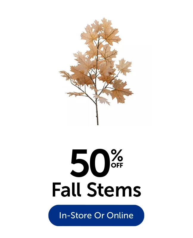 50% Off Fall Stems