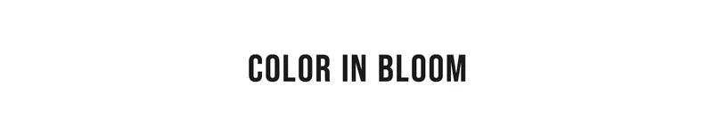 Color In Bloom