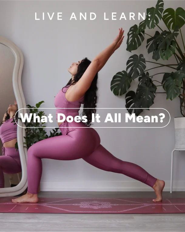 Live and learn: what does it all mean?
