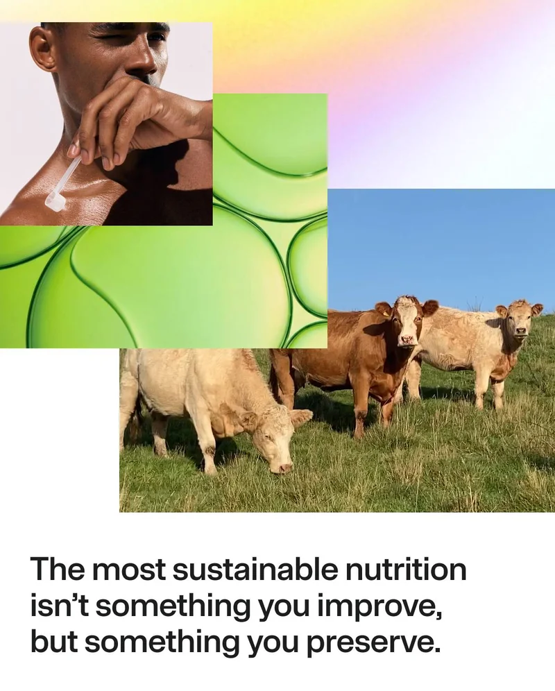 The most sustainable nutrition isn’t something you improve, but something you preserve.