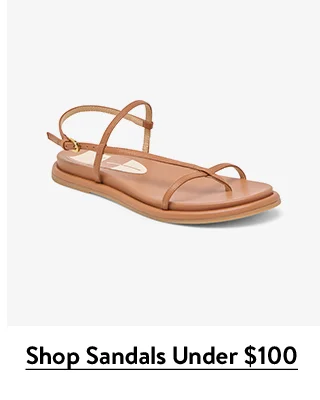 A brown sandal.