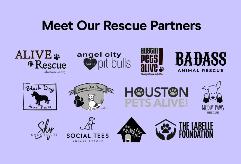 Meet Our Rescue Partners