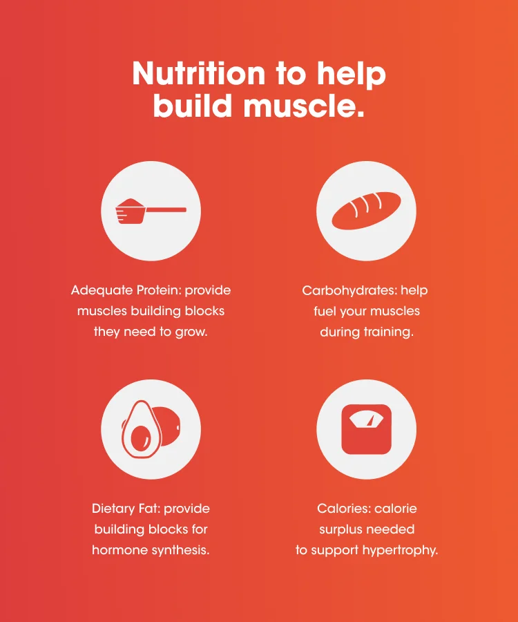Nutrition to help build muscle. Adequate Protein: provide muscles building blocks they need to grow. Carbohydrates: help fuel your muscles during training. Dietary Fat: provide building blocks for hormone synthesis. Calories: calorie surplus needed to support hypertrophy.