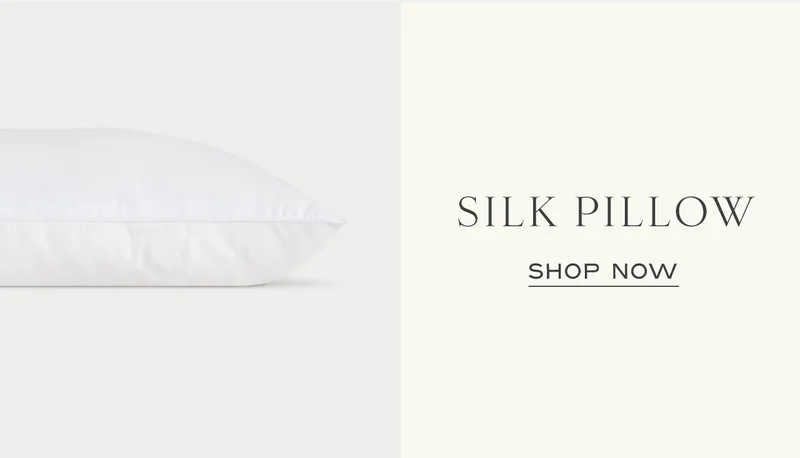 Shop The Silk Pillow