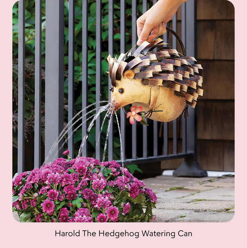 harold-the-hedgehog-watering-can