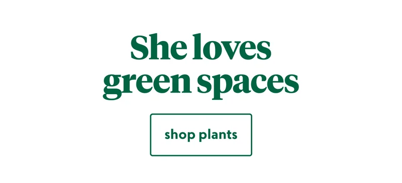 plants