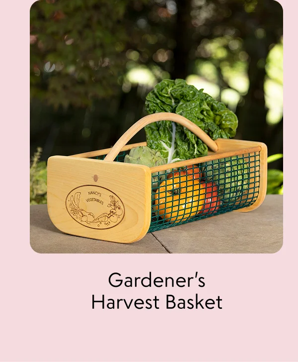 gardeners-harvest-basket
