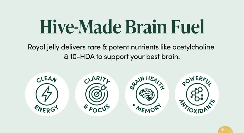 Hive-Made Brain Fuel         Royal jelly delivers rare & potent nutrients like acetylcholine & 10-HDA to support your best brain.   Promotes mental clarity May improve cognition  Supports long-term brain health   Powerful antioxidants  MOD 3