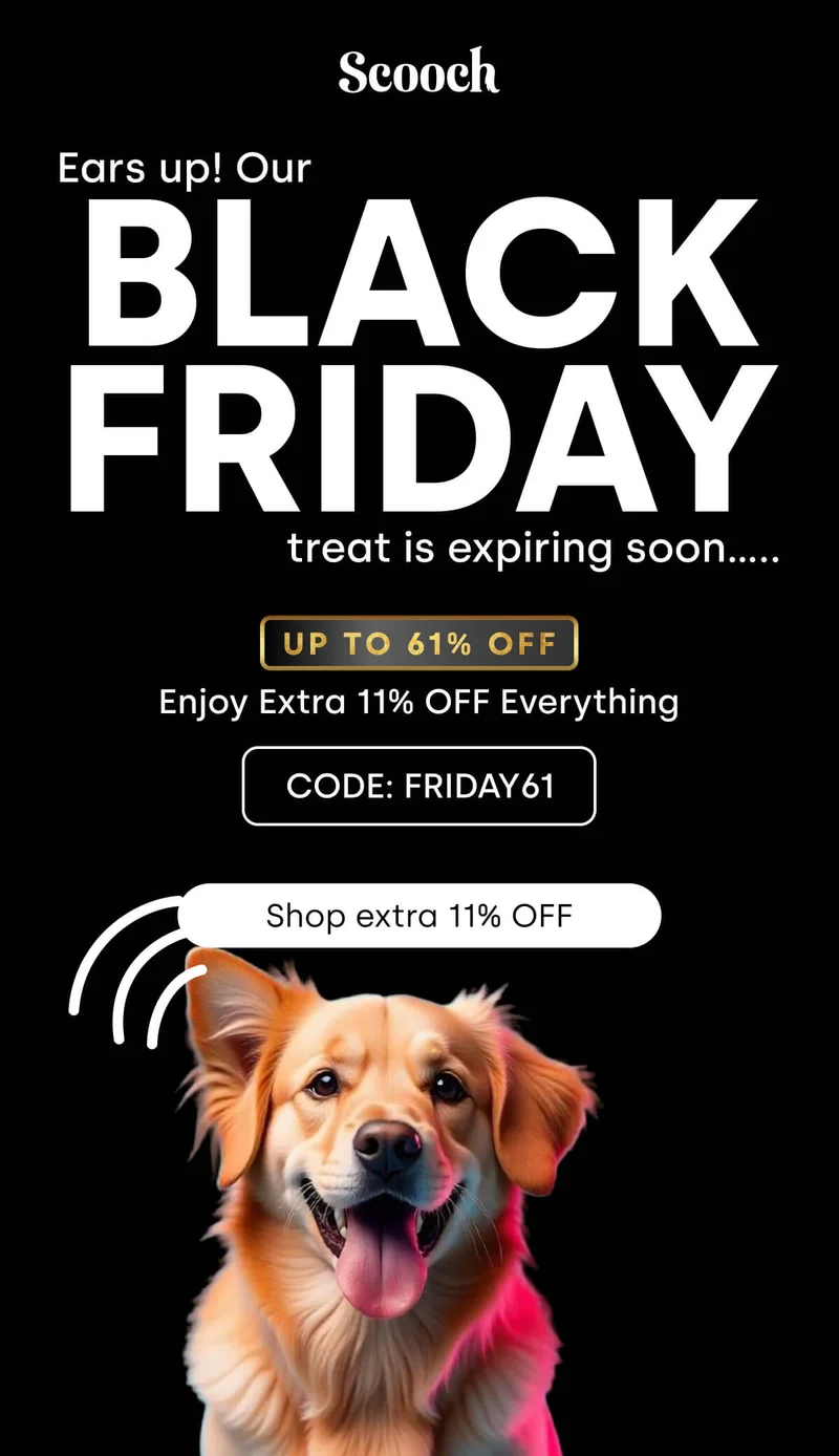 Ears up! Our Black Friday treat is expiring soon…..