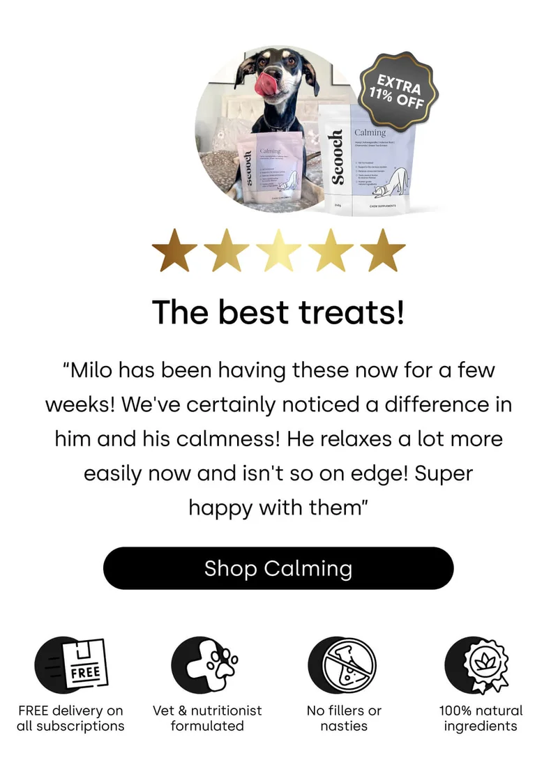 What’s on every pup’s wishlist? - Shop Calming