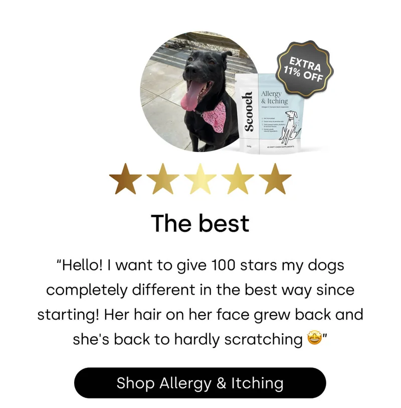 Time to treat your pup—and your wallet! - Shop Allergy & Itching