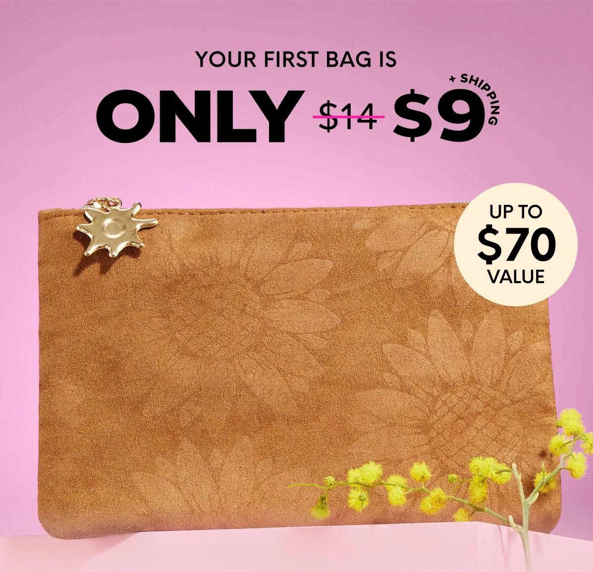 YOUR FIRST BAG IS ONLY $9 + SHIPPING - 5 PRODUCTS - UP TO $70 VALUE