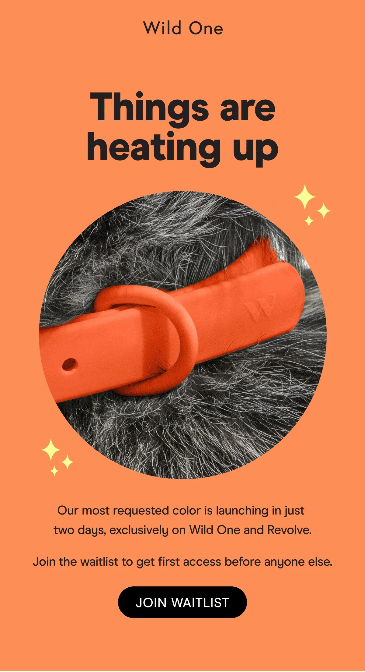 Our most requested color is launching in just two days, exclusively on Wild One and Revolve.  Join the waitlist to get first access before anyone else.