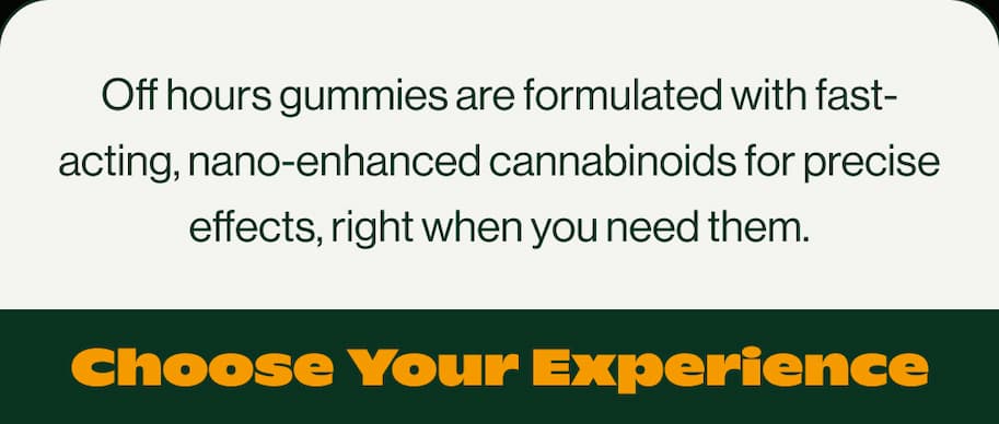 CHOOSE YOUR EXPERIENCE