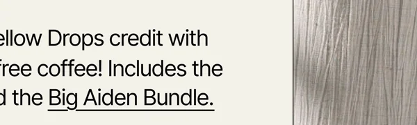 Big Aiden Bundle