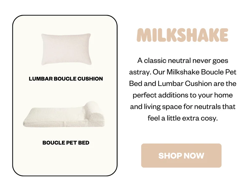 A classic neutral never goes astray. Our Milkshake Boucle Pet Bed and Lumbar Cushion are the perfect additions to your home and living space for neutrals that feel a little extra cosy.